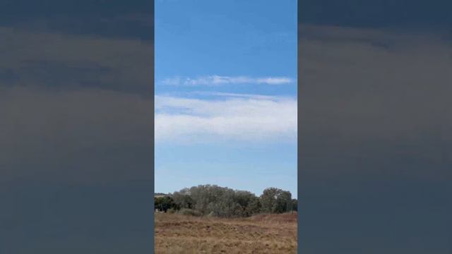 Старая ветряная мельница в хуторе Ступино Павловского района Воронежской области