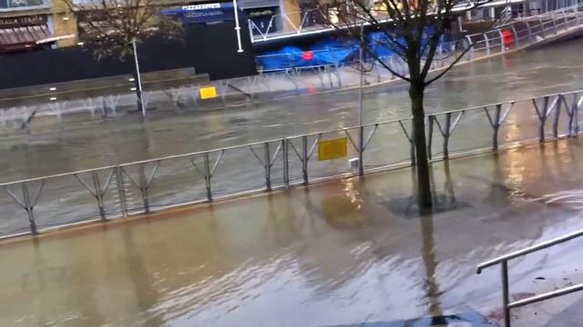 Oracle flood смотреть онлайн