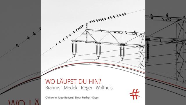 6 Songs for Baritone: No. 5, Immer dunkler смотреть онлайн