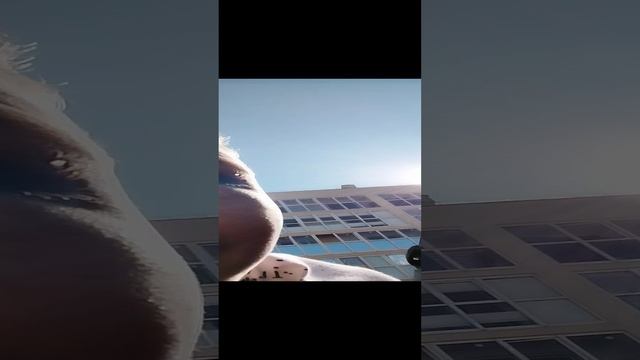 Пранкуем друга (пранк не удался). смотреть онлайн