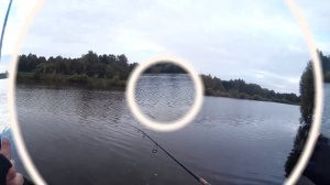 Снова канал имени Москвы. Щука, Окунь, Лещ.