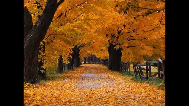 Осень, милая, шурши! смотреть онлайн