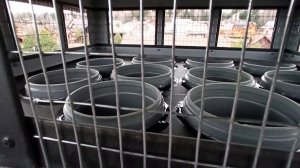 Вентиляционный короб на крыше.Вывод вентиляции и канализационного стояка своими руками.