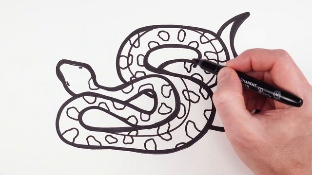 How to Draw Anaconda Python Snake | Easy Animals Drawings смотреть онлайн