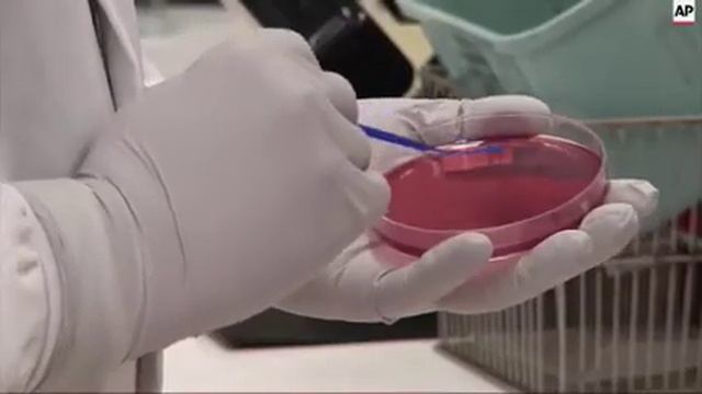 More Chipotle E. Coli Cases in Pacific Northwest смотреть онлайн