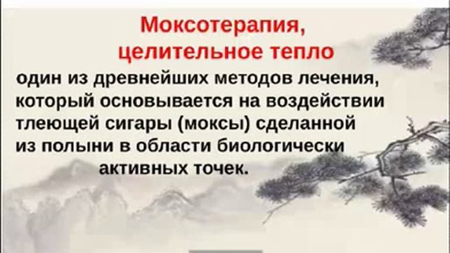 Вебинар - Согревающие Моксопластыри  Хао Ган - Шмидт А.С.