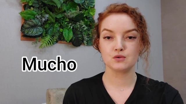 Урок 1. Произношение в испанском языке. Теория. смотреть онлайн