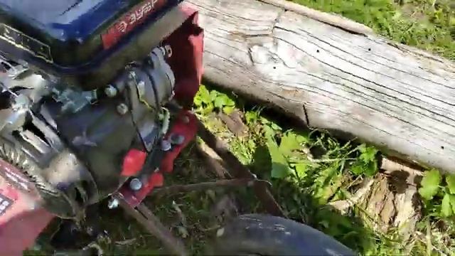 Культиватор Зубр 150 для прополки междурядий 20 июня 2022 г. смотреть онлайн