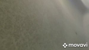 Дизельный Дастер. Сброс ошибки снятием клеммы.