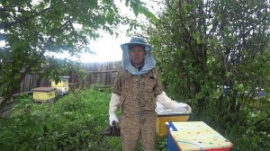 КАК ПОДСАДИТЬ ПЛОДНУЮ МАТКУ С ПОМОЩЬЮ ОДНОРАМОЧНОГО ИЗОЛЯТОРА В БЕЗМАТОЧНУЮ ПЧЕЛОСЕМЬЮ.