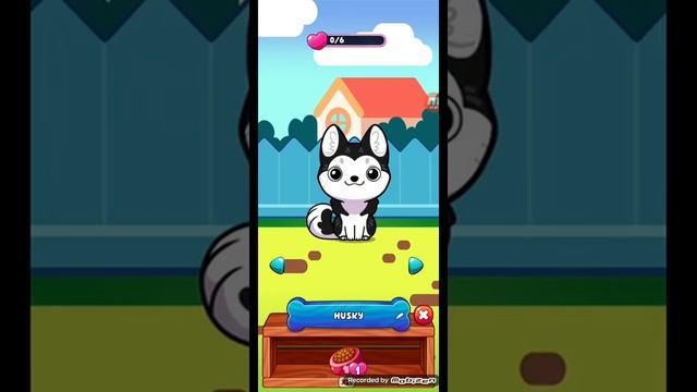 BACKYARD | DOG GAME COLLECTOR смотреть онлайн