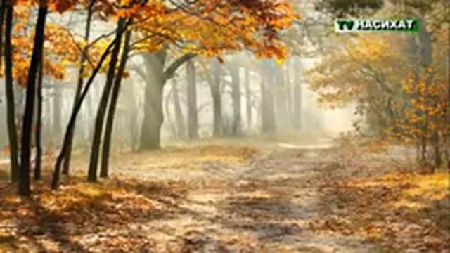 ЛЮБОВЬ РАДИ АЛЛАХА смотреть онлайн