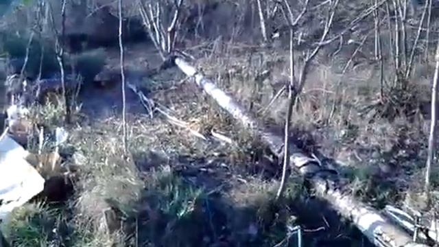 Нуклеус Джинн 2023.Сделаем новогоднюю сказку былью. смотреть онлайн