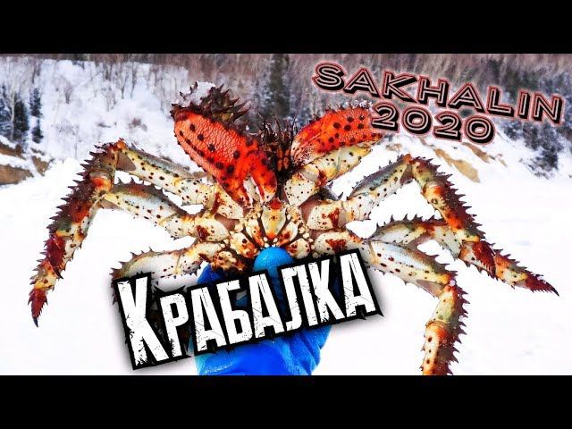 Как ловят крабов зимой на Сахалине, Февраль 2020 Крабалка