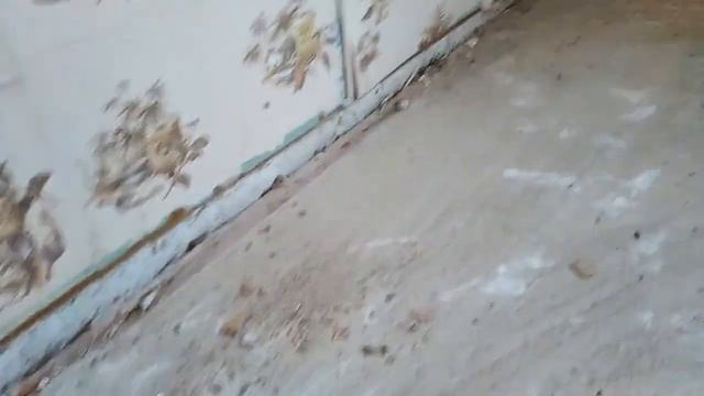 Как положить линолеум на кухне: экономно и быстро смотреть онлайн