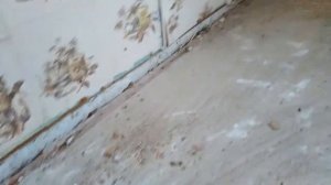 Как положить линолеум на кухне: экономно и быстро