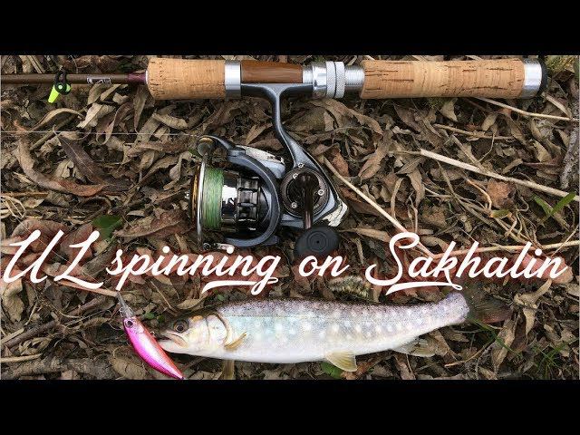 Ультралайт спиннинг, Сахалинская рыбалка, кунджа, мальма.