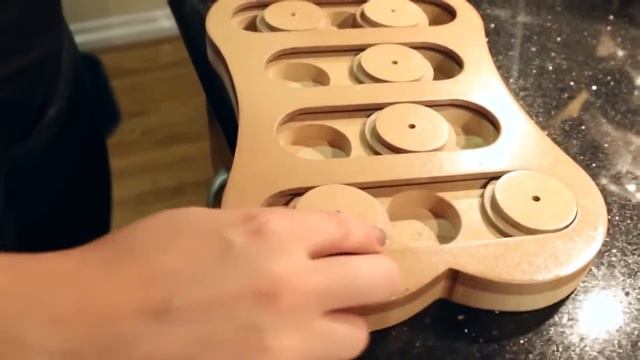 Seek-A-Treat Dog IQ Puzzle (shuffle bone) смотреть онлайн