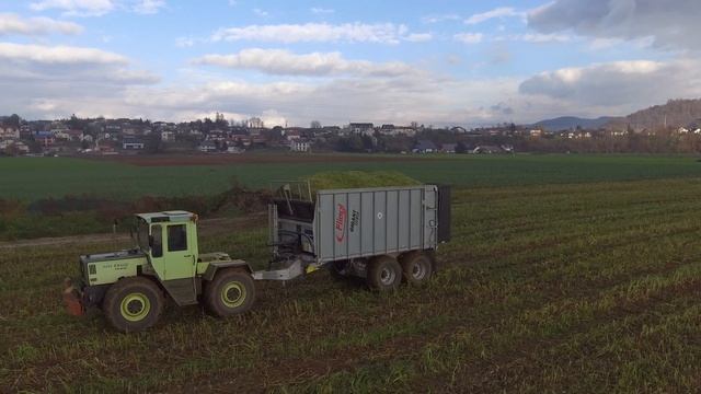 Sudanska Trava  2022