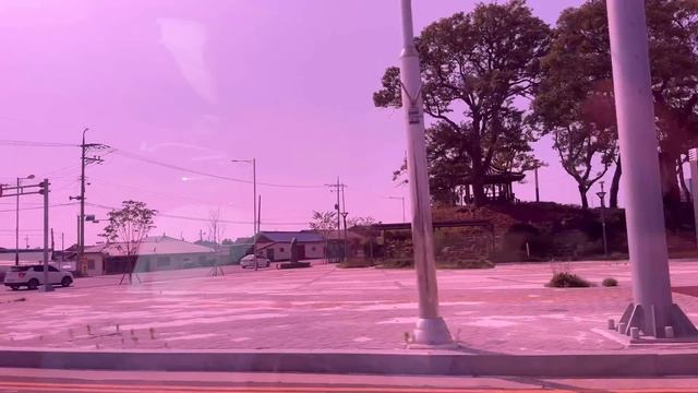 Korea Vlog/Выходной с двойней/ Музей Рыб/Кидс кафе/Неудачный опыт в корейском кафе с детьми