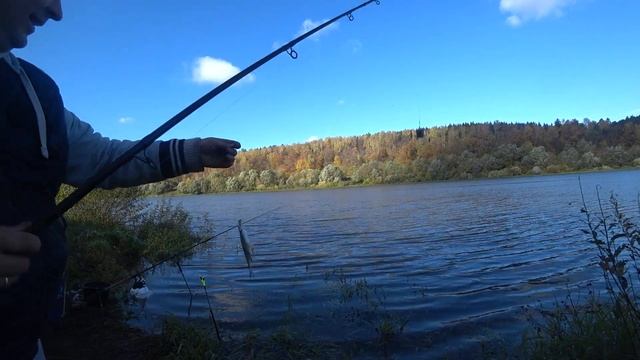 ОТЛИЧНАЯ РЫБАЛКА НА ОКЕ ,ФИДЕР,ОКТЯБРЬ, БАТЛ ПРИКОРМОК ПО ХОЛОДНОЙ ВОДЕ смотреть онлайн