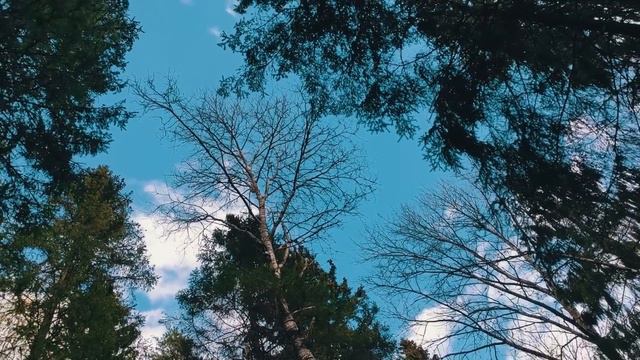 Сестра получила фронтовую весточку от брата спустя 78 лет. смотреть онлайн