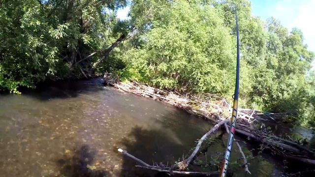 РЫБАЛКА на ХАРИУСА - на опарыша ( экстремальный участок-бурелом.) смотреть онлайн