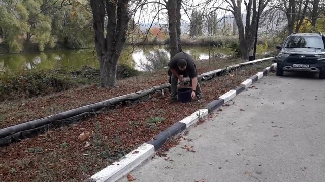 Сбор семян каштана смотреть онлайн