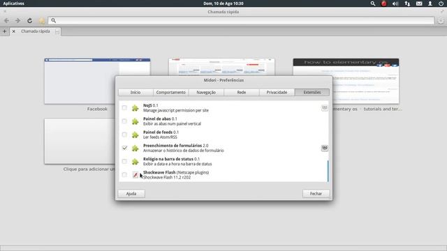 Flash para o Midori смотреть онлайн