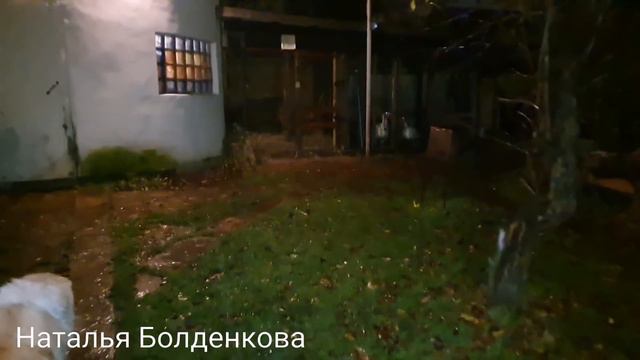 Наш день в деревне//Стройка//Хозяйство//Гуляем с собаками смотреть онлайн