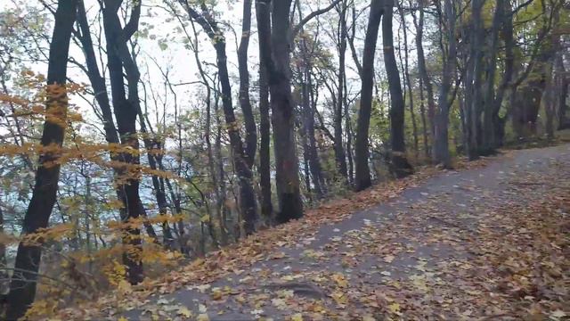 Шашлыки.. где их можно жарить? В лесу возле моря..в специальных местах. Гданьск. Гдыня. Сопот. Осен смотреть онлайн