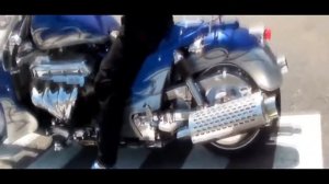 Honda Ninja Predator Vs Herli 2019