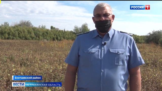 В Астраханской области выявили более 100 гектаров неиспользованных сельхозземель.mp4 смотреть онлайн