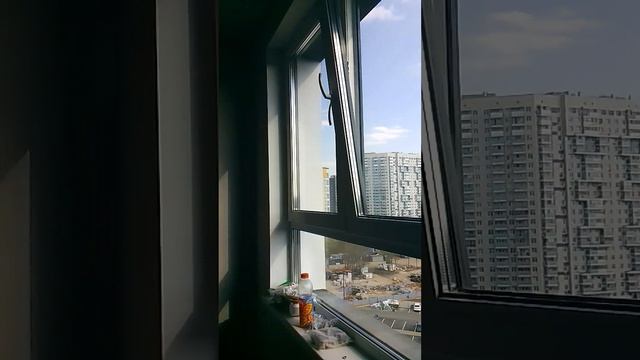 #приемкаквартиры #мытищи парк #приемквартиры #застройщикивмоскве #самолет #гксамолет #мвтищипарк смотреть онлайн