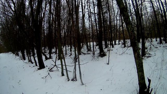 Охота на зайца 31.12.2022 г (Закрыли сезон 2022 года). смотреть онлайн