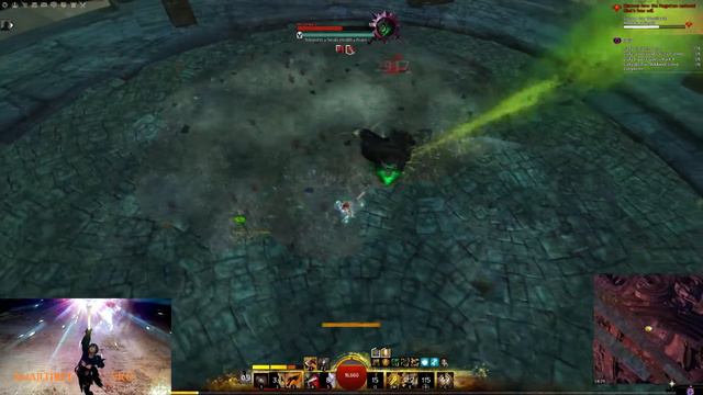 GW2 Wraithlord Solo Warrior [3:03] смотреть онлайн