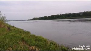 Рыбалка на Оке в Касимовском районе.