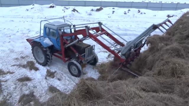 Простой МТЗ рвет сено со скирды. смотреть онлайн