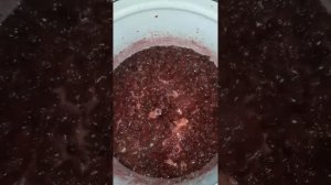 Варенье из вишни с желатином
