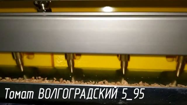 Машина полуавтоматическая для посева семян в кассеты. Примеры высева смотреть онлайн