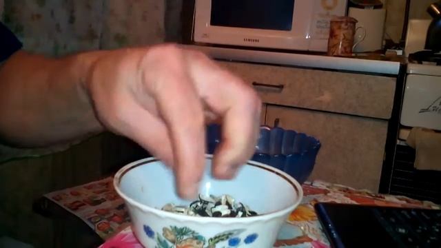 поедание семечек при работе на компьютере смотреть онлайн