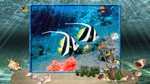 Острова моей жизни - коллекция шаблонов