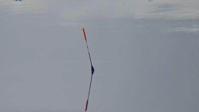 Ловля плотвы весной на поплавок.Секрет наживки. смотреть онлайн