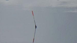 Ловля плотвы весной на поплавок.Секрет наживки.