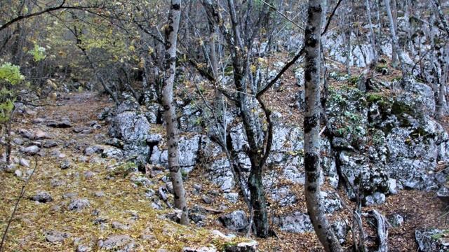 2020г. К озеру Чуваш-Голь из Родникового. смотреть онлайн