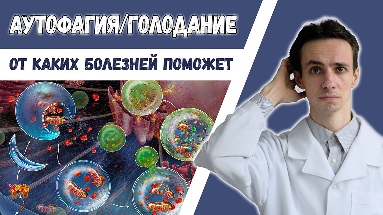АУТОФАГИЯ ? Что это? Друг или враг? Польза голодания при заболеваниях.