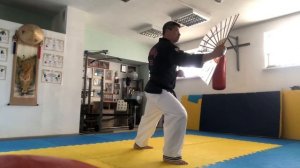 Буче суль - боевые упражнения с веером