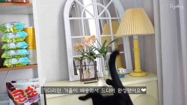 ENG) 쫄깃한 가래떡 떡볶이와 춘권 튀김 만들기?, 꼬막 비빔밥 만들어 먹는 자취생 일상?ㅣ국물닭발, 미트볼 파스타, 찹스테이크, 바지락 수제비, 꼬막무침, 부추 춘권 смотреть онлайн