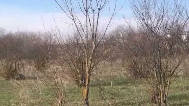 Участок у подножья гор Машук и Бештау смотреть онлайн