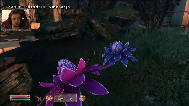 TES IV: Oblivion [#75] Amulet Królów смотреть онлайн
